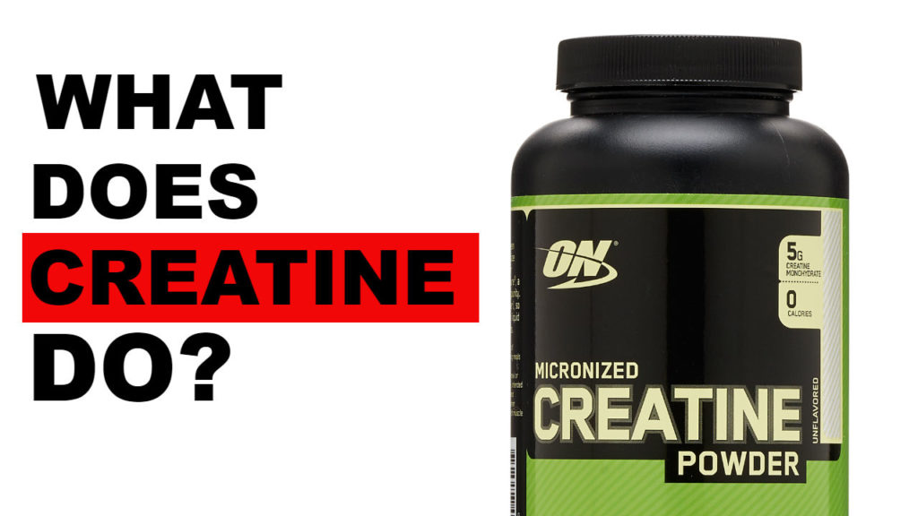 What does creatine do main image