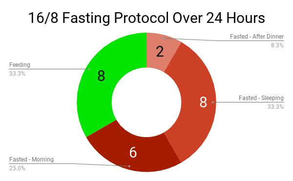 college diet intermittent fasting pie chart